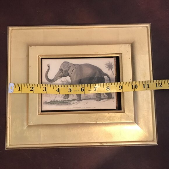 Antique Gold Framed 19th Century Elephant Print - Picture 6 of 7